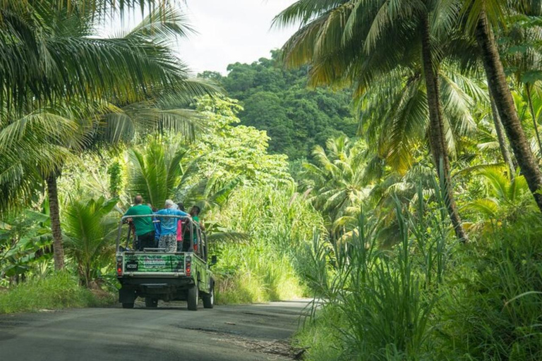 St. Lucia: Soufriere Vulkan ErlebnisPrivate Tour (bis zu 4 Teilnehmer)