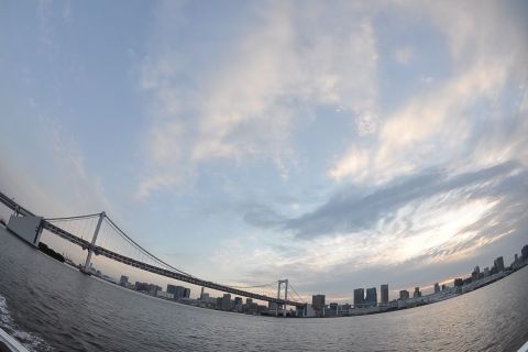 Tokio: Excursión de Medio Día en Bicicleta y Crucero