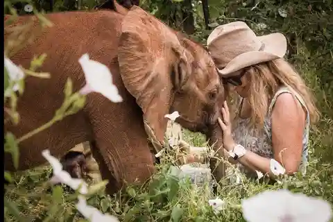 Elephant Orphanage and Nairobi National Park Guided Tour