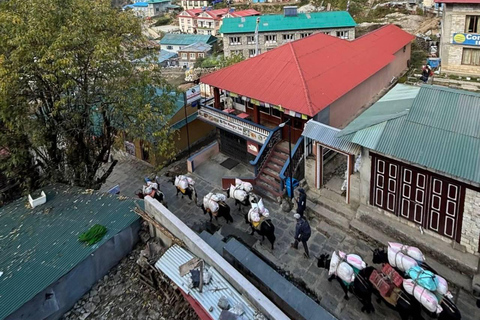 Kathmandu: Everest Base Camp Trek with Flights