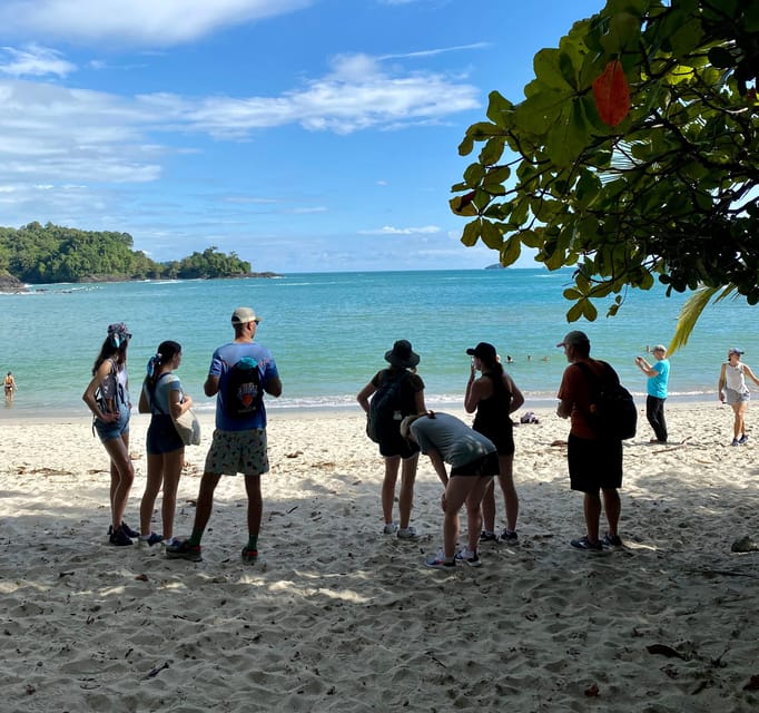 Manuel Antonio Park Naturalist Guided Tour GetYourGuide
