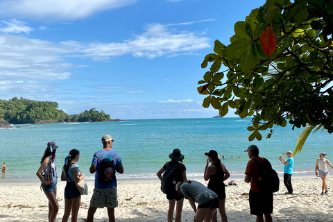 Manuel Antonio Park: Guided Walking Tour with a NaturalistSmall Group Tour