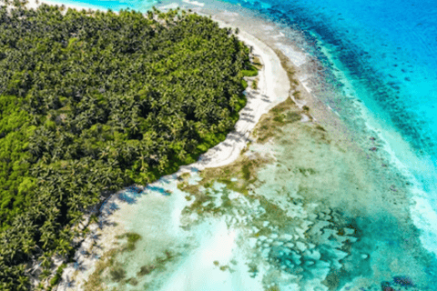 Punta Cana: Saona Island Catamaran Cruise with Lunch