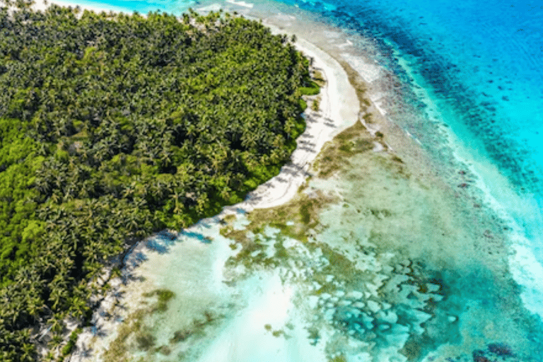Punta Cana: Saona Island Catamaran Cruise with Lunch