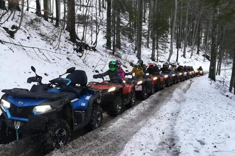 Sinaia: Guided ATV and Buggy Tour to Cota 1400 Guided ATV Tour for 4-6 Persons