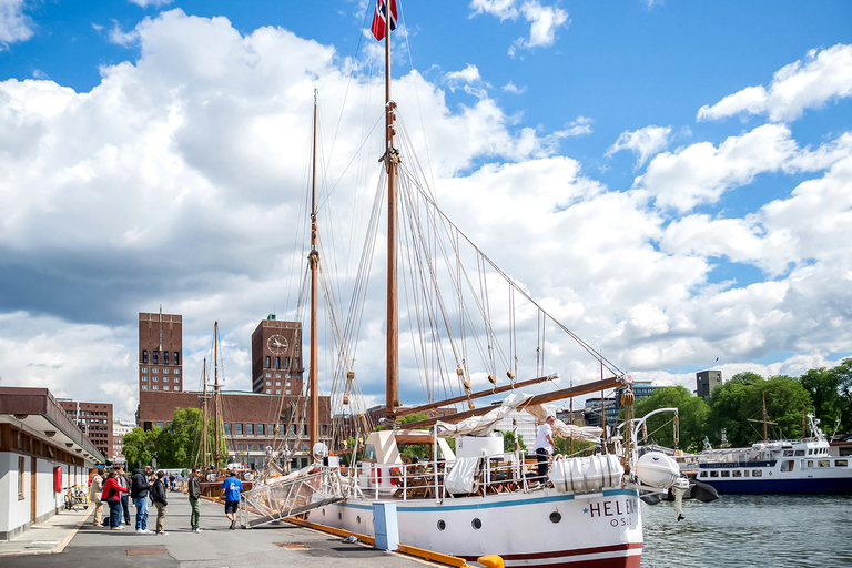 Fjord d’Oslo : croisière de 2 h à la découverte du fjord