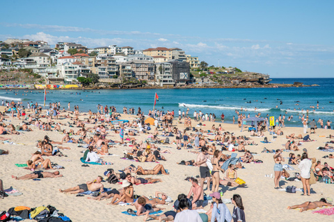 Plage de Bondi : Séance photo privée sur la célèbre plage de Bondi Beach