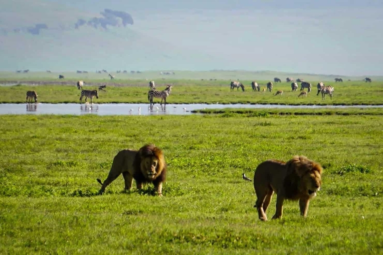 2 Days Safari to Tarangire and Ngorongoro Crater