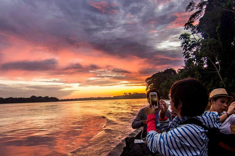 Depuis Puerto Maldonado || Tour en bateau de 3 heures au coucher du soleil ||