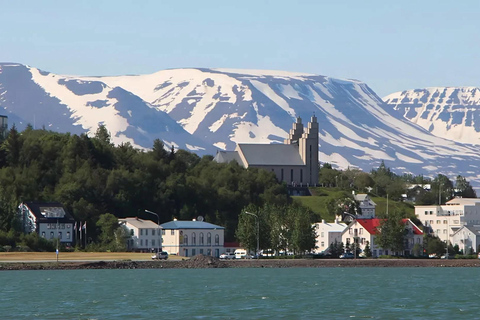Private Diamond Circle Tour from Akureyri