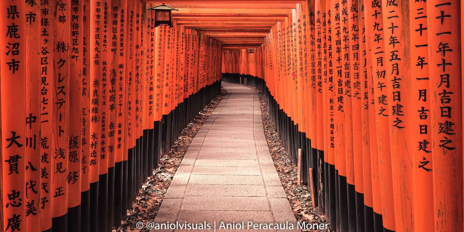 Kyoto: Private Customizable Day Tour with Guide and Vehicle