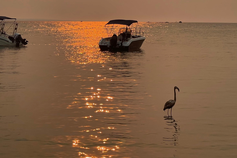 Zakynthos: Private Boat Cruise with Skipper or Self-Drive South with Captain:Turtles, Keri & Secret Caves