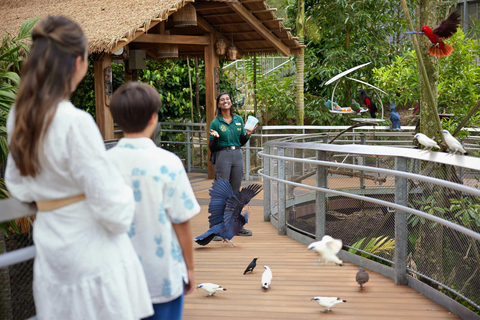 Singapore: Bird Paradise Entry Ticket with Hotel Transfer