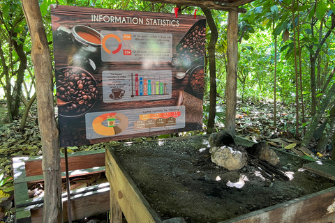 蓬塔卡纳：咖啡种植园、巧克力和甘蔗……