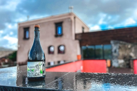 Etna: Wine Tasting Tour Standard Tour (per person)