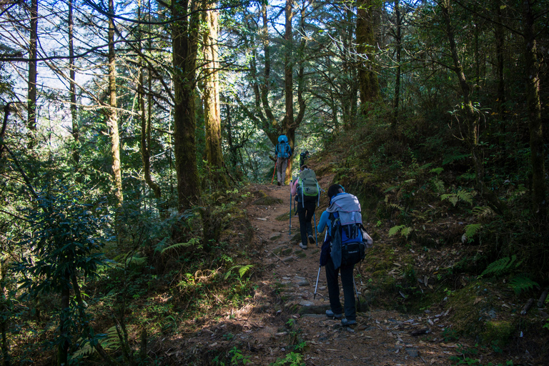 9-Day Annapurna Base Camp Trek via Ghorepani Poon Hill