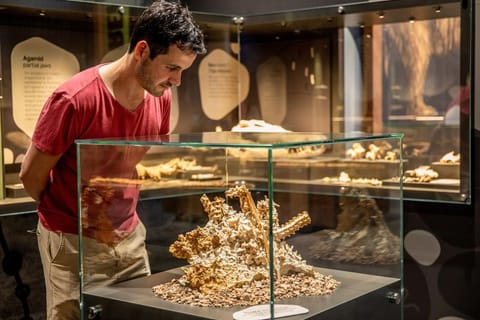 Mount Isa: Riversleigh Fossil Discovery Centre Guided Tour - Image 2