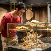 Mount Isa: Riversleigh Fossil Discovery Centre Guided Tour