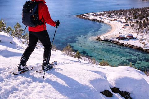 Tromsø: 4-Hour Snowshoe Hike for Beginners (max. 8 people) Tromsø: 4-Hour Snowshoe Hike for Beginners (Max. 8 People)