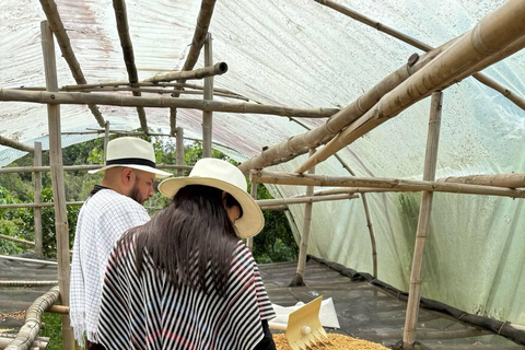 Bogotá: Choachí Farm-to-Cup Coffee Day Trip with Cupping