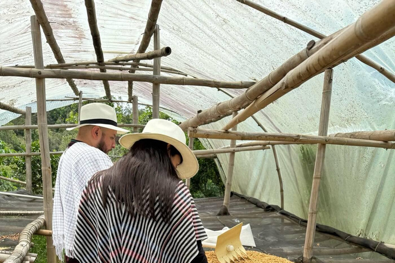 Bogotá: Choachí Farm-to-Cup Coffee Day Trip with Cupping