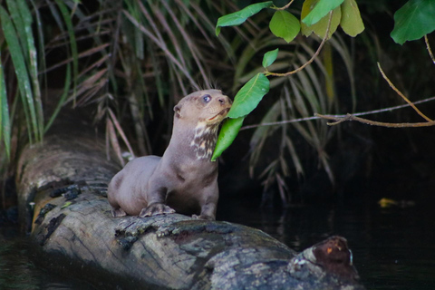 selva viva de tambopata