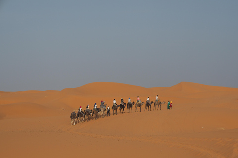 Marrakech to Fes 3 day Desert Tour Camel & luxury Tente Marrakech to Fes 3 day Desert Tour Standard Desert Tents