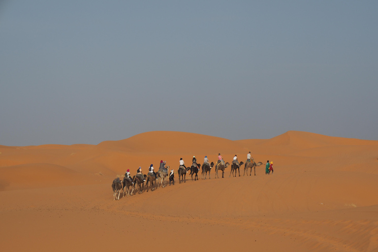 Marrakech to Fes 3 day Desert Tour Camel & luxury Tente Marrakech to Fes 3 day Desert Tour Standard Desert Tents