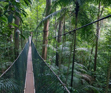 Kuala Lumpur'dan: Taman Negara'ya Tam Günlük Tur