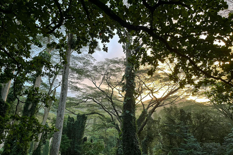 Excursión a la Cascada Hawaiana