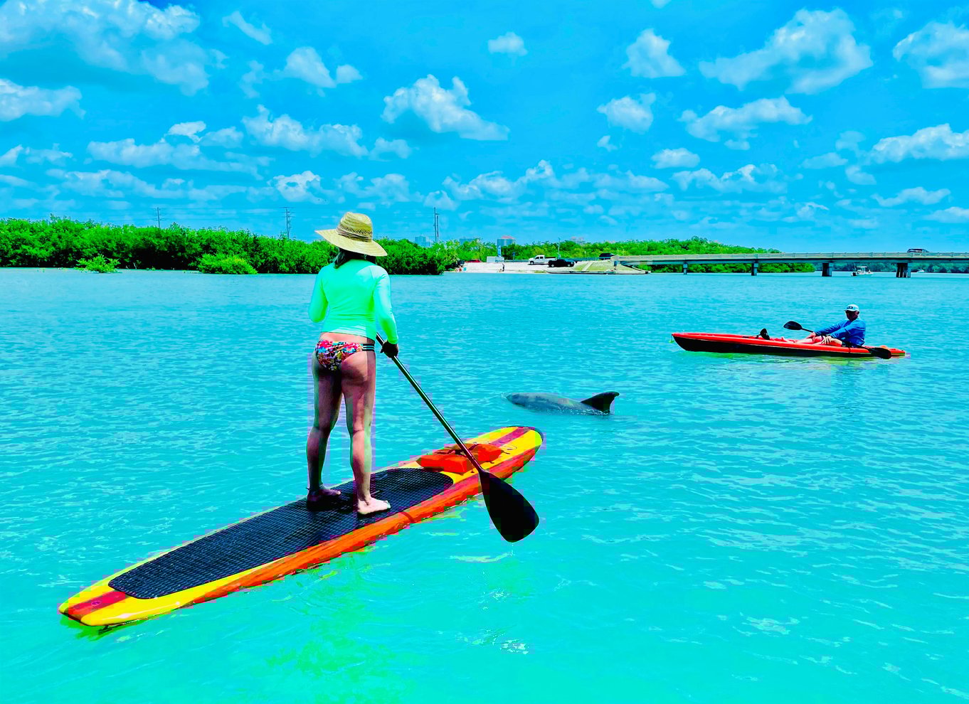 Fort Myers: Guidet Standup Paddleboarding eller Kajak tur