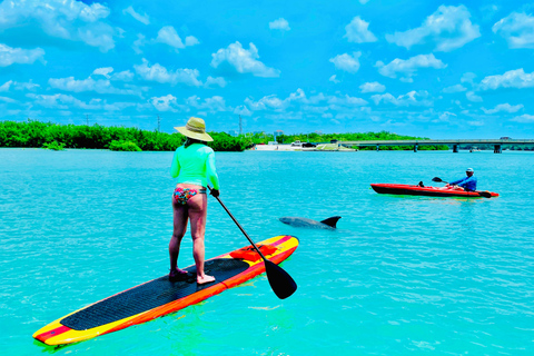 Fort Myers Dolphin & Manatee Kayak or Paddleboard Tour