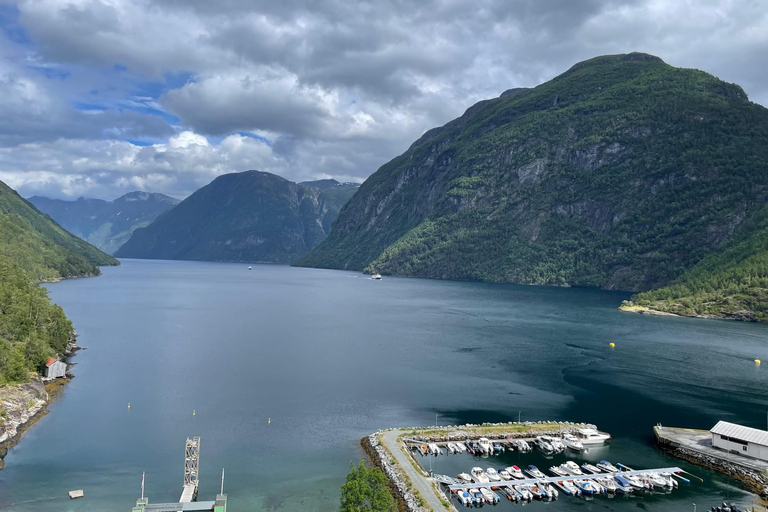 Passeio de bicicleta elétrica de Hellesylt a Norangsdalen