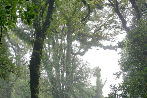 Chiang Mai: Doi Inthanon Pha Dok Siew Trek & Karen Culture