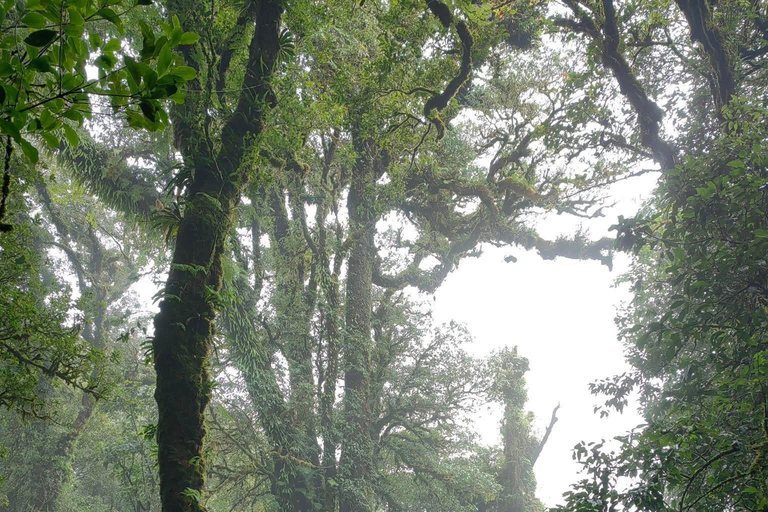 Chiang Mai: Doi Inthanon Pha Dok Siew Trek & Karen Culture