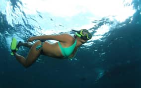  - Canarie.it