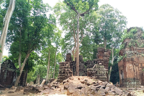 Private Tagestour - Pyramidentempel Koh Ker und Beng Mealea