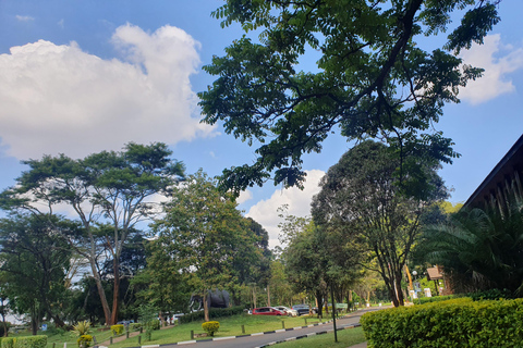 Nairobi: National Park Layover Tour mit Flughafentransfers.