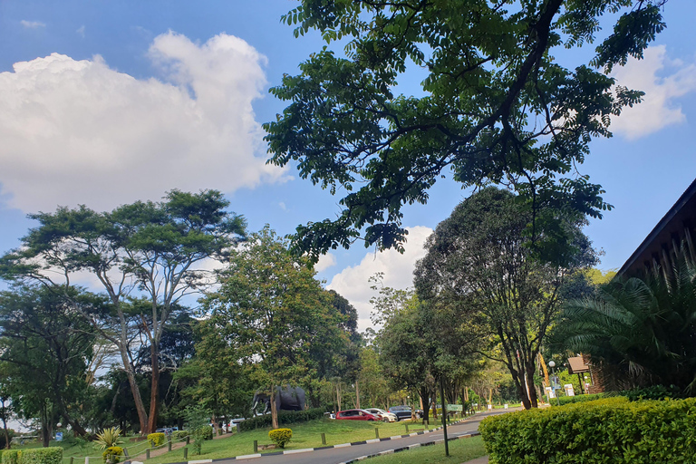 Nairobi: National Park Layover Tour mit Flughafentransfers.