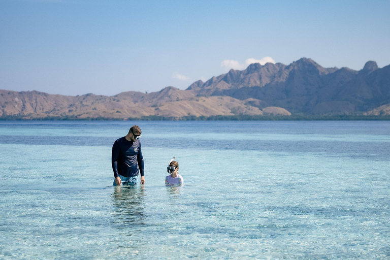 Excursion d&#039;une journée à Komodo en bateau rapide privé