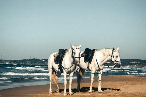 Hobart: Scenic Coastal Horseback Riding Adventure 2-hour Hobart: Scenic Coastal Horseback Riding Adventure