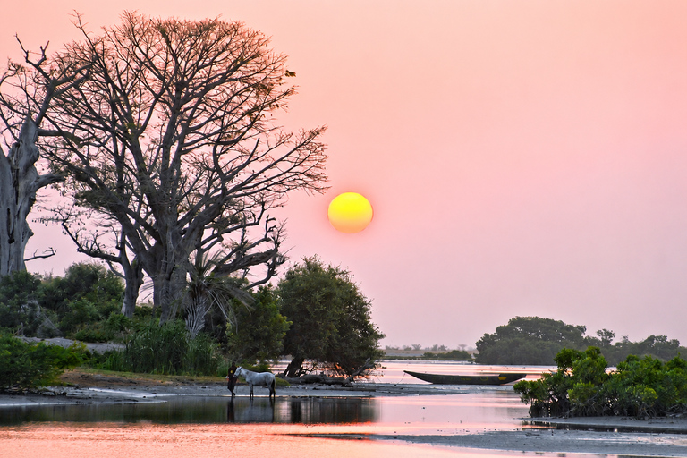 Sine Saloum: Shell Island and Bird Sanctuary