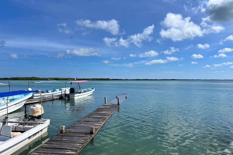 From Valladolid: Flamingo Tour, Rio Lagartos, Las Coloradas, Cenote + Lunch