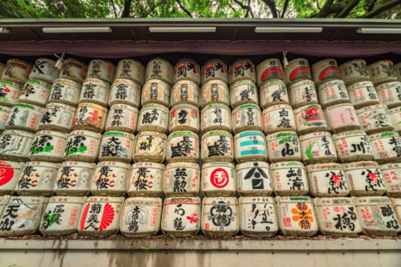 Tokyo: tour a piedi del santuario Meiji con una guida giapponese del posto