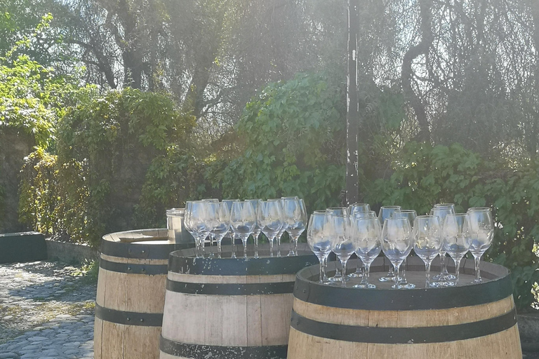 Wine Tour with 7 Tastings + Private Transport + Lapis Lazuli