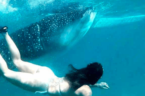 Cebu: Oslob Whale Shark, Sumilon, ruiny, kościół Simala