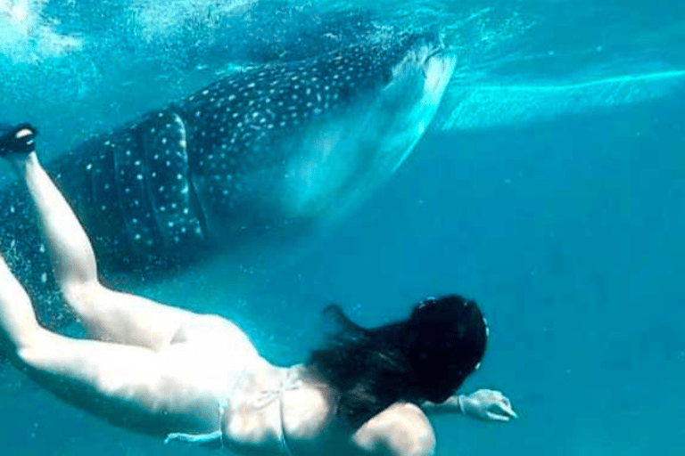 Cebu: Oslob Whale Shark, Sumilon, ruiny, kościół Simala