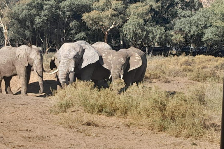 Cape Town Aquilla big sunset safari With transport & food aquila sunset bestseller