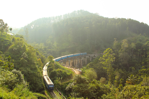 3-Day Private Tour: Sigiriya, Dambulla, Ella With Train Tour