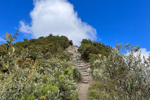 Mt. Longonot Hike with optional Boat Ride on Lake Naivasha